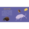 甲蟲圖鑑小百科