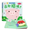 寶寶安全啟蒙玩具書：這能摳嗎？（翻翻+洞洞書）