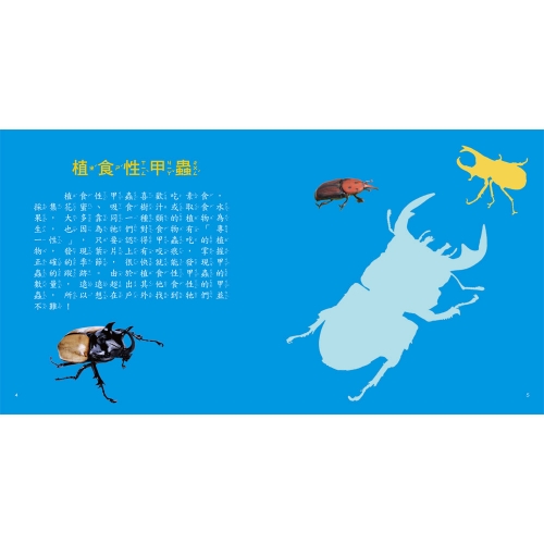 甲蟲圖鑑小百科