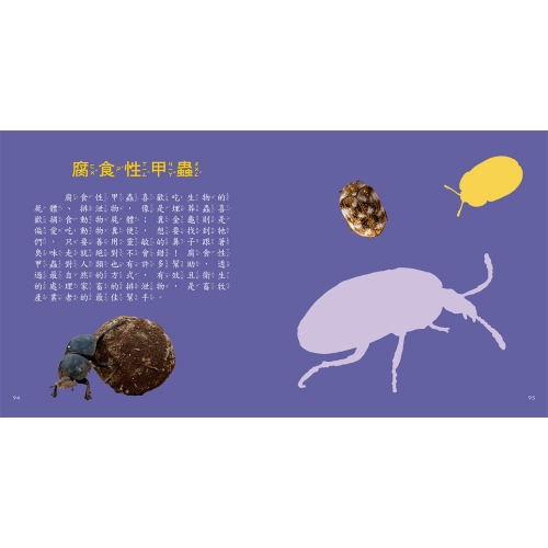 甲蟲圖鑑小百科