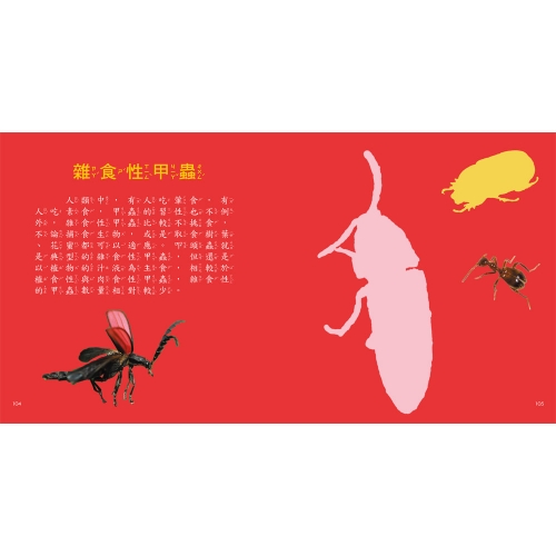 甲蟲圖鑑小百科