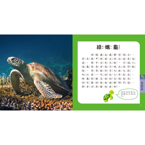 海洋圖鑑小百科