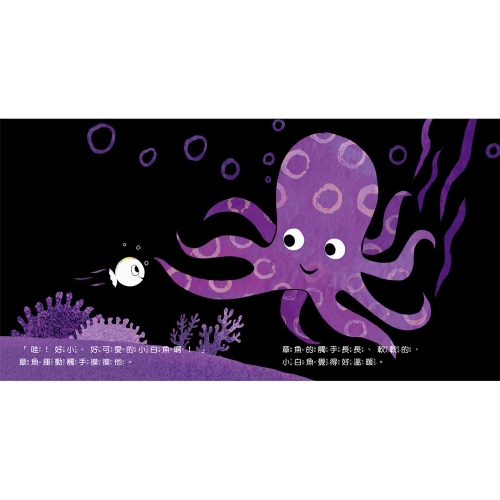 小白魚的誕生（感知探索）