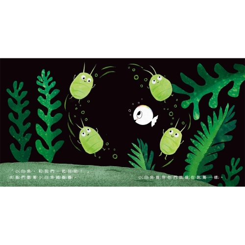 小白魚的誕生（感知探索）