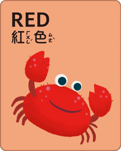 BABY認知大圖卡：ABC