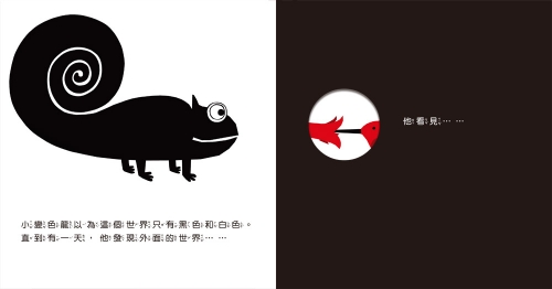 小變色龍變變變：探索顏色